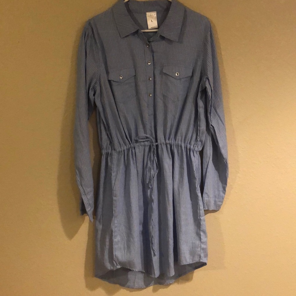 Blue pinstripe shirt dress